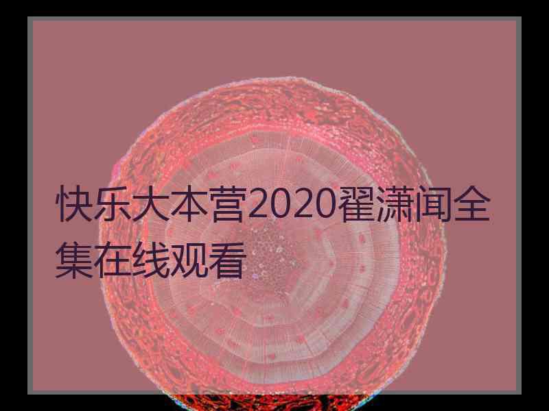 快乐大本营2020翟潇闻全集在线观看