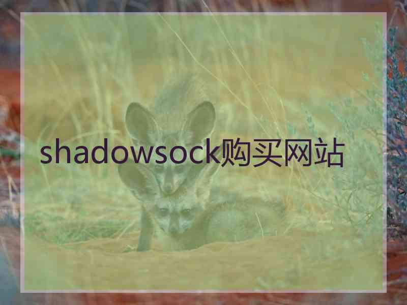 shadowsock购买网站