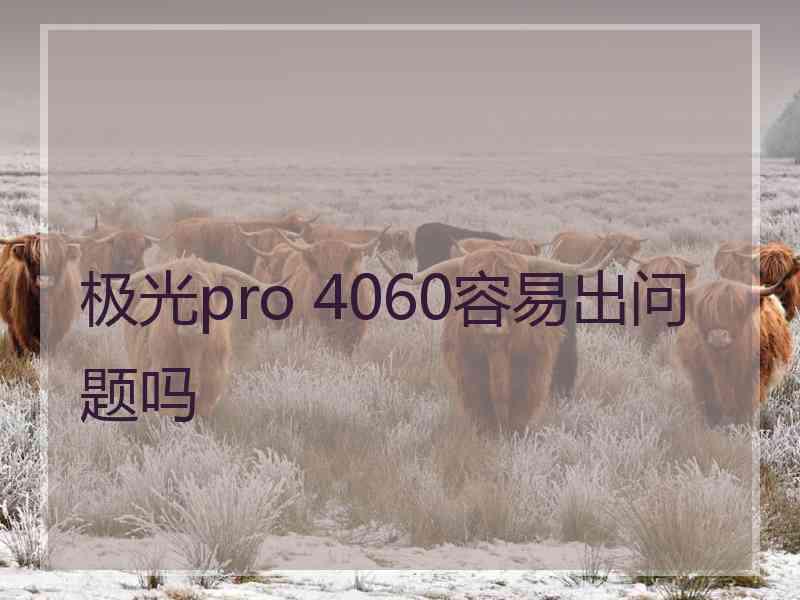 极光pro 4060容易出问题吗