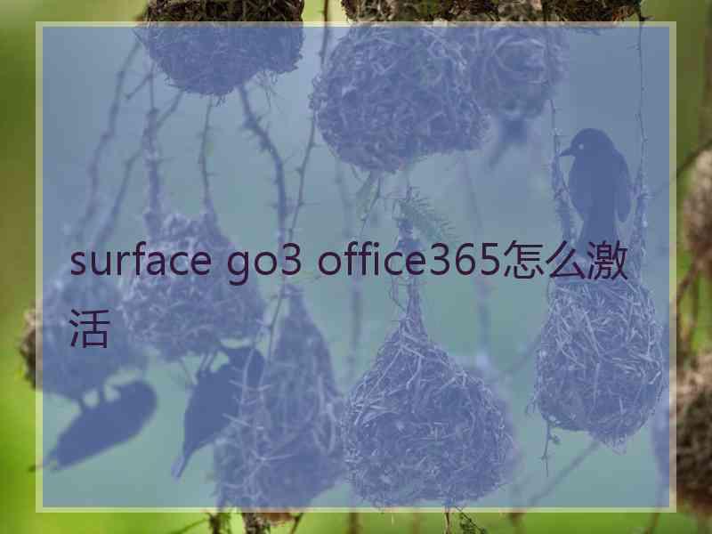 surface go3 office365怎么激活