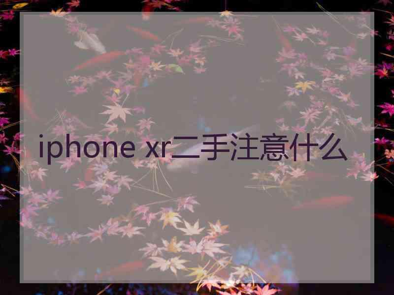 iphone xr二手注意什么