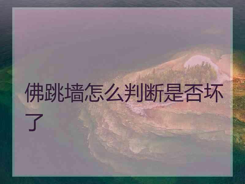 佛跳墙怎么判断是否坏了