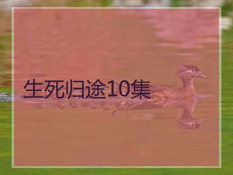 生死归途10集