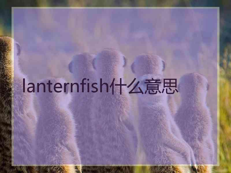 lanternfish什么意思