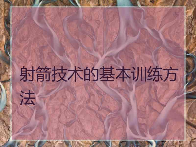 射箭技术的基本训练方法