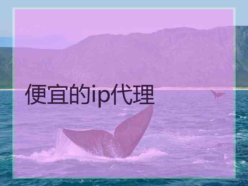 便宜的ip代理