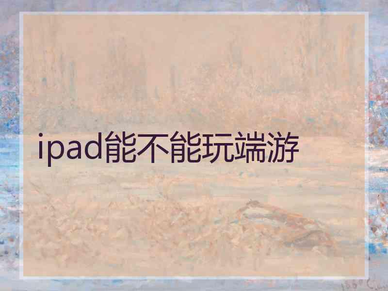 ipad能不能玩端游