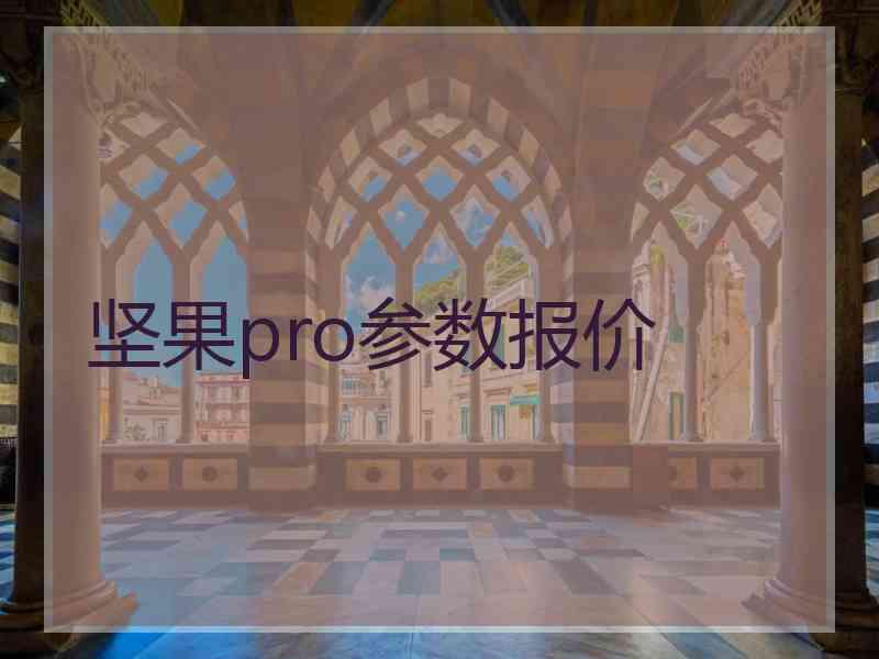 坚果pro参数报价