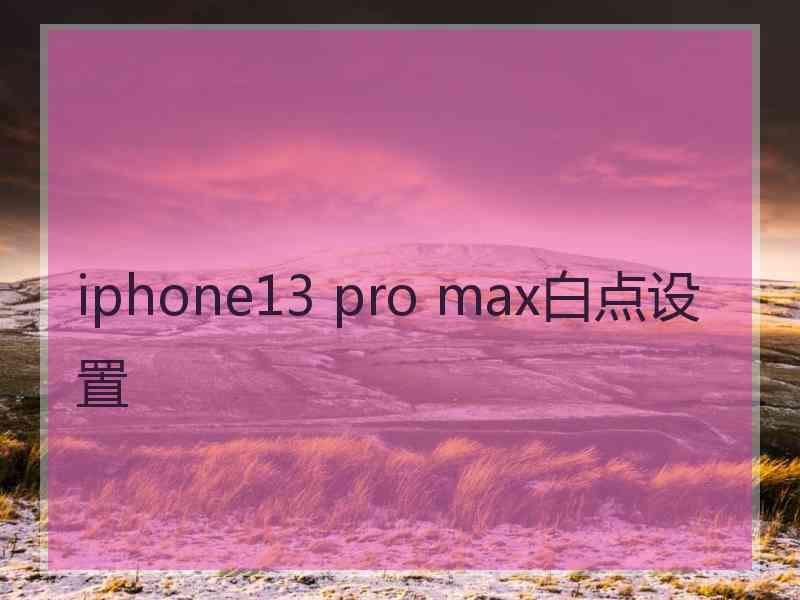 iphone13 pro max白点设置