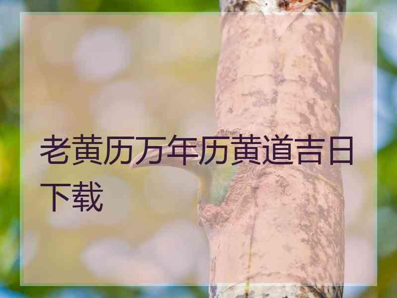 老黄历万年历黄道吉日下载