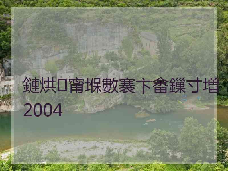 鏈烘甯堢數褰卞畬鏁寸増2004