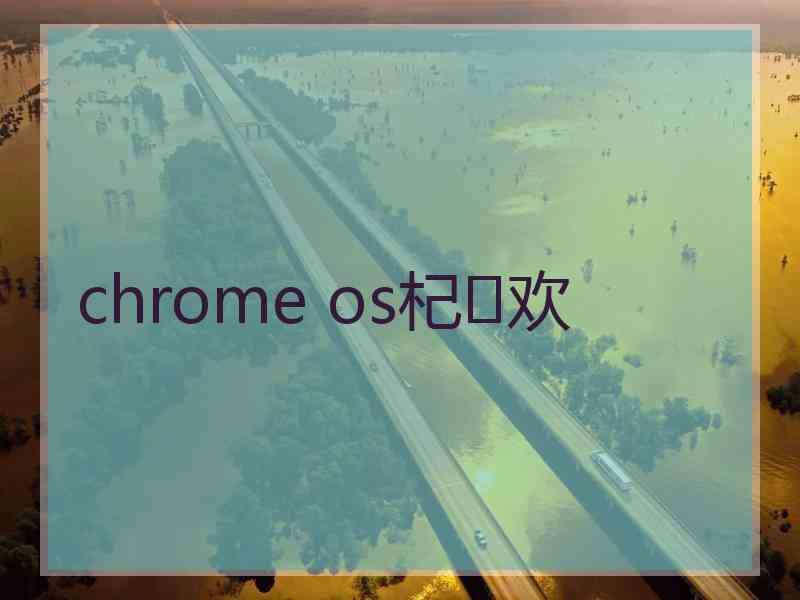 chrome os杞欢