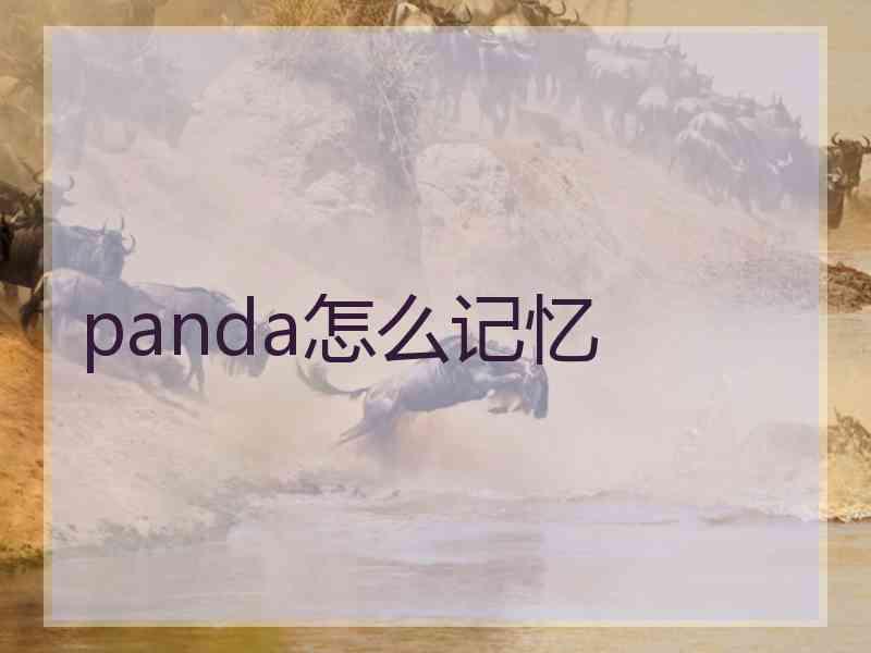 panda怎么记忆