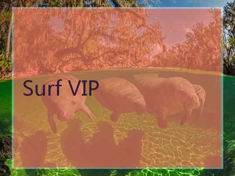 Surf VIP