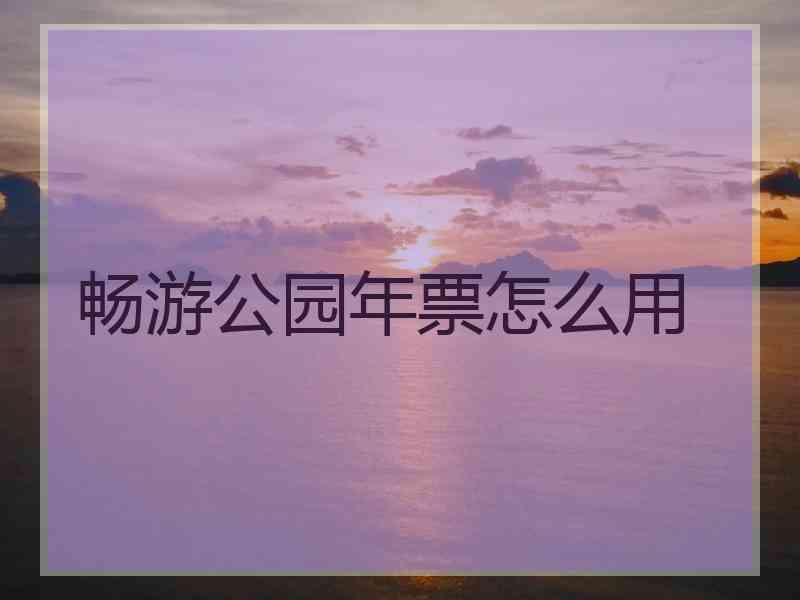 畅游公园年票怎么用