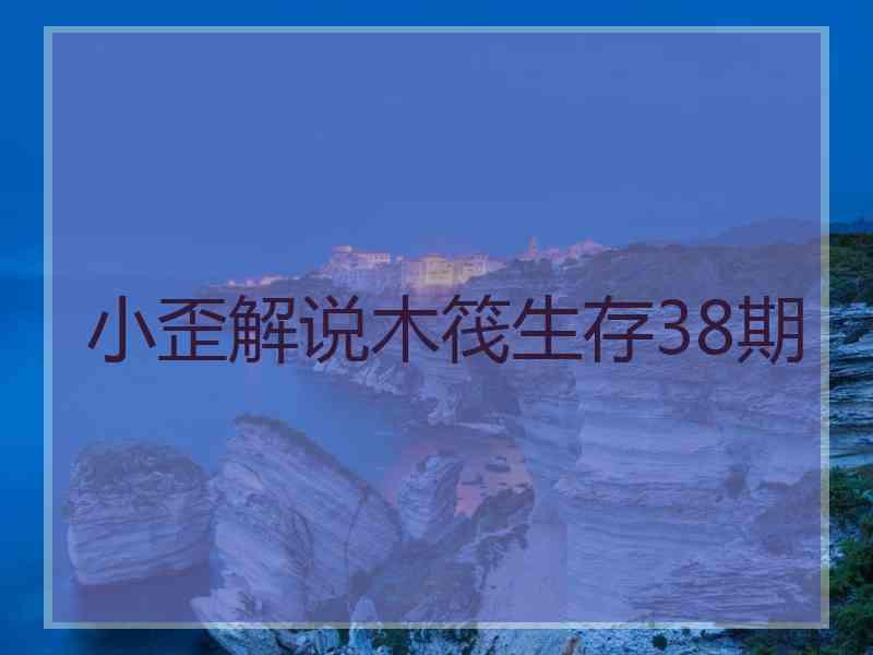 小歪解说木筏生存38期