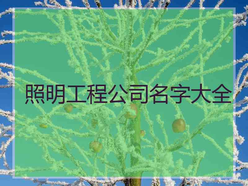 照明工程公司名字大全