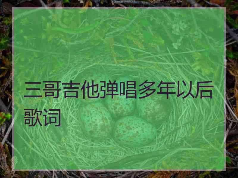 三哥吉他弹唱多年以后歌词