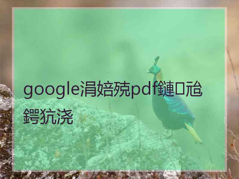 google涓婄殑pdf鏈兘鍔犺浇