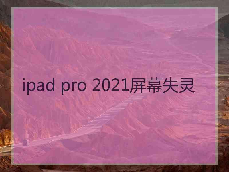 ipad pro 2021屏幕失灵