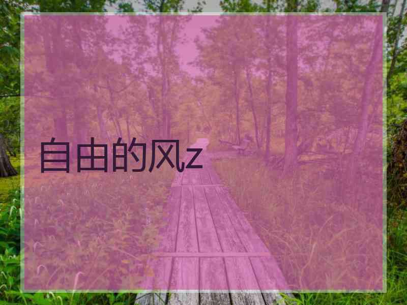 自由的风z