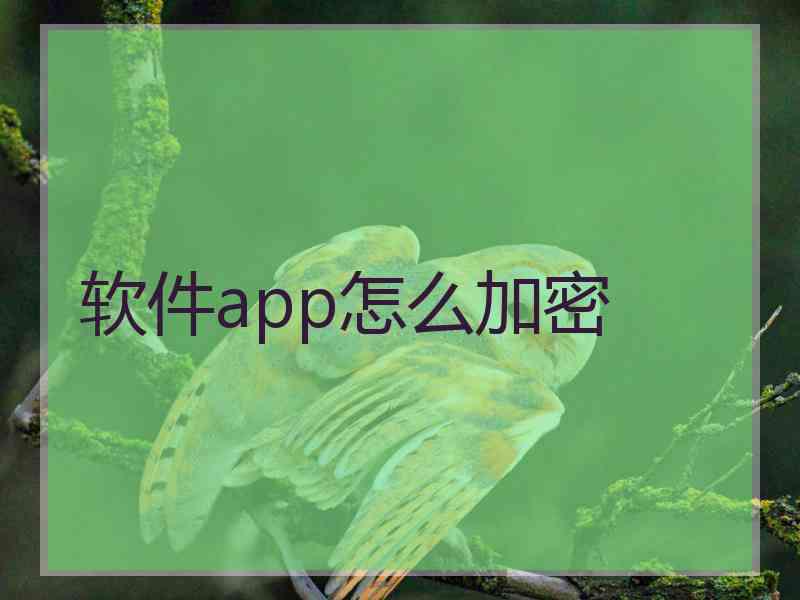 软件app怎么加密