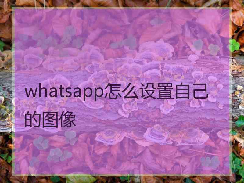 whatsapp怎么设置自己的图像