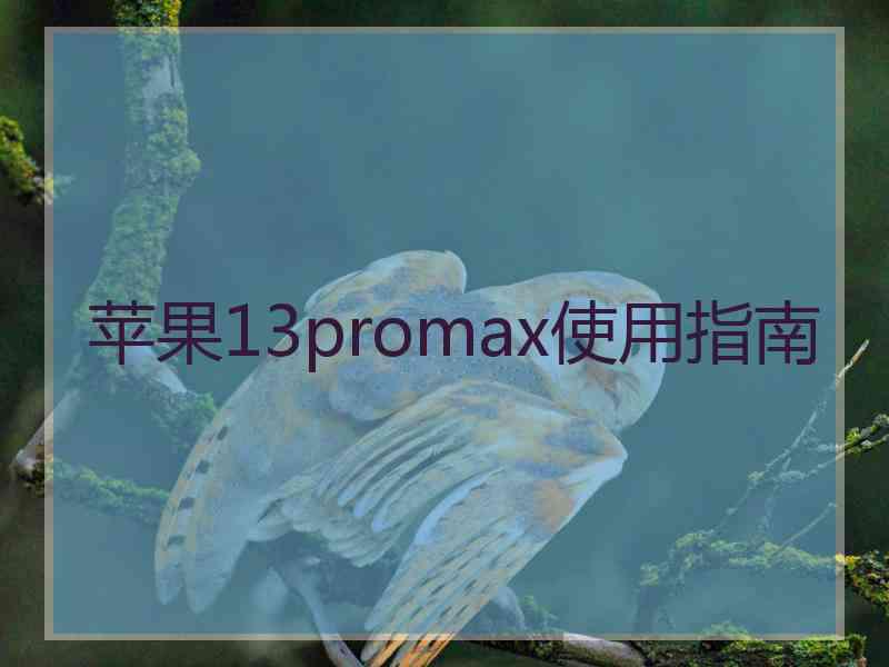 苹果13promax使用指南