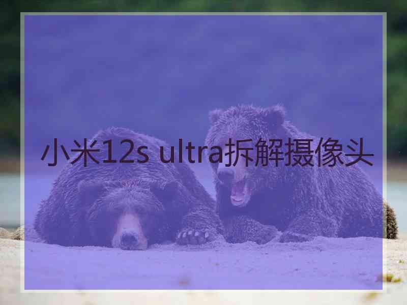 小米12s ultra拆解摄像头