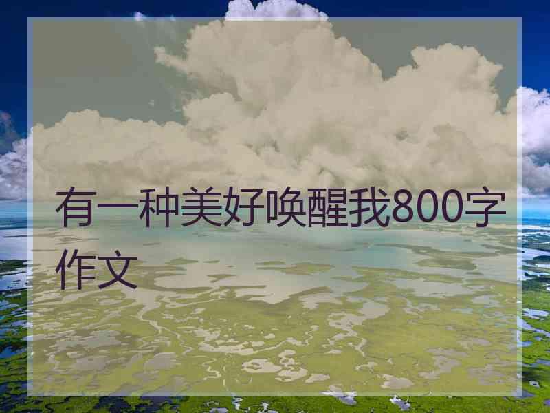 有一种美好唤醒我800字作文