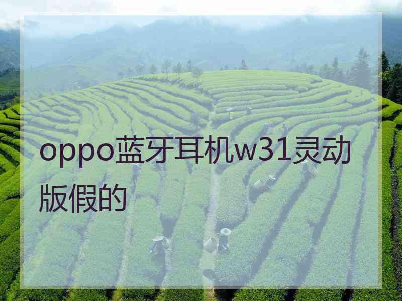 oppo蓝牙耳机w31灵动版假的