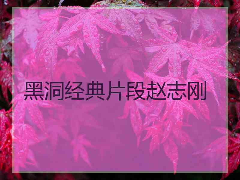 黑洞经典片段赵志刚