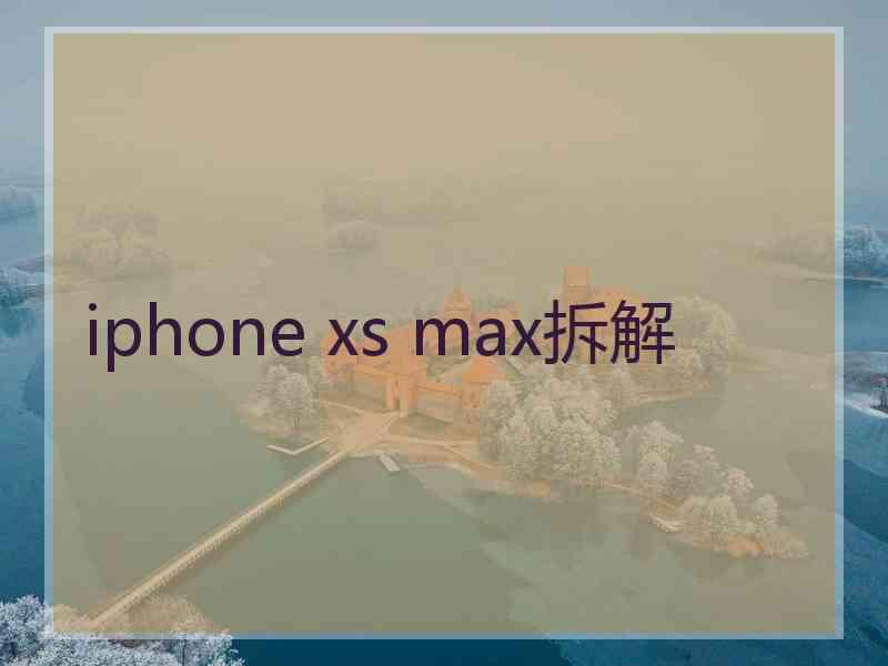 iphone xs max拆解