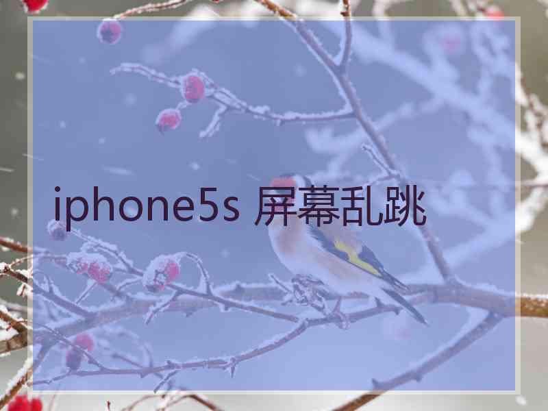 iphone5s 屏幕乱跳