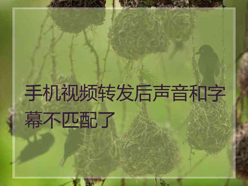 手机视频转发后声音和字幕不匹配了