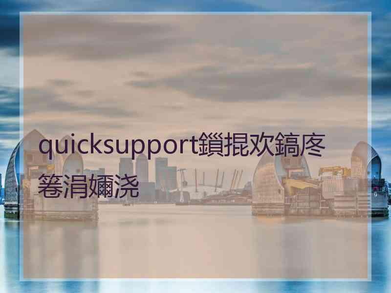 quicksupport鎻掍欢鎬庝箞涓嬭浇