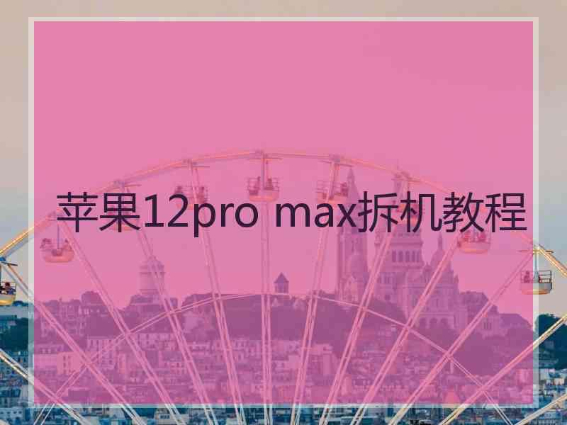 苹果12pro max拆机教程