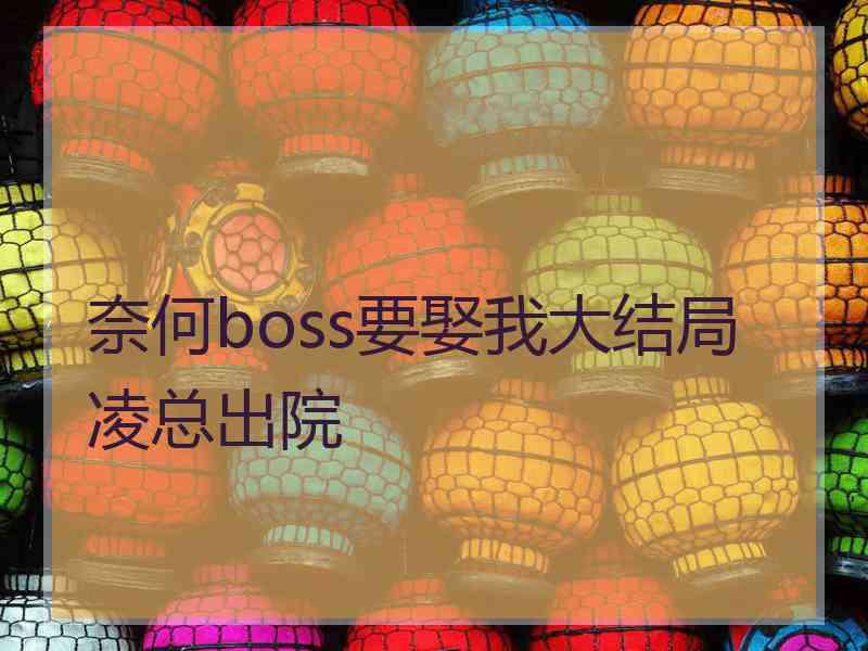 奈何boss要娶我大结局凌总出院