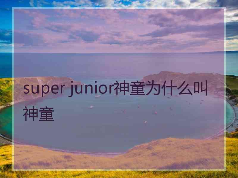 super junior神童为什么叫神童