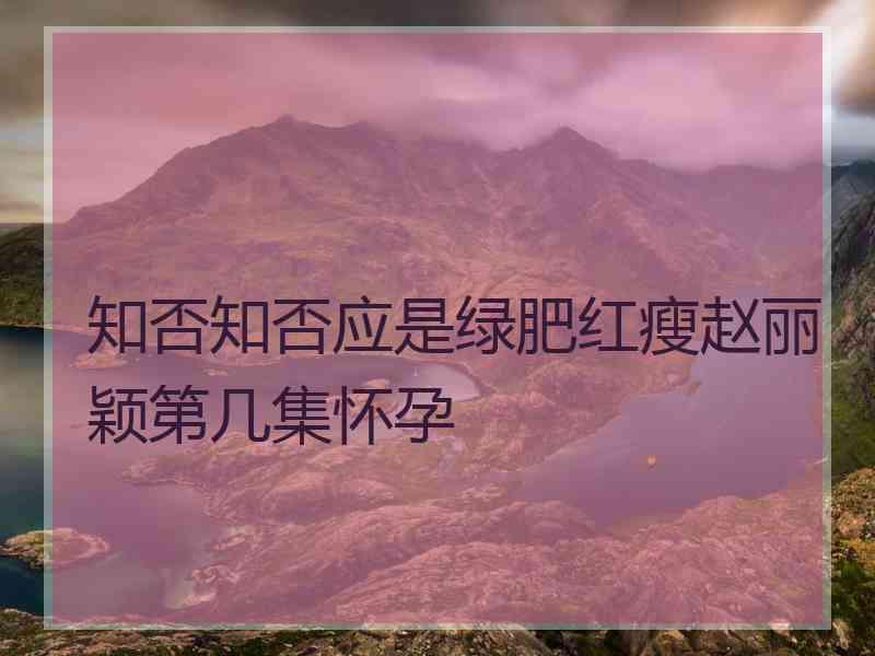 知否知否应是绿肥红瘦赵丽颖第几集怀孕