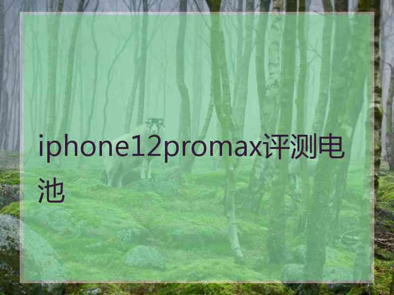 iphone12promax评测电池