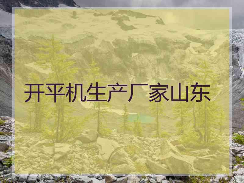 开平机生产厂家山东