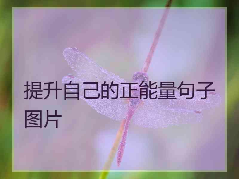 提升自己的正能量句子图片