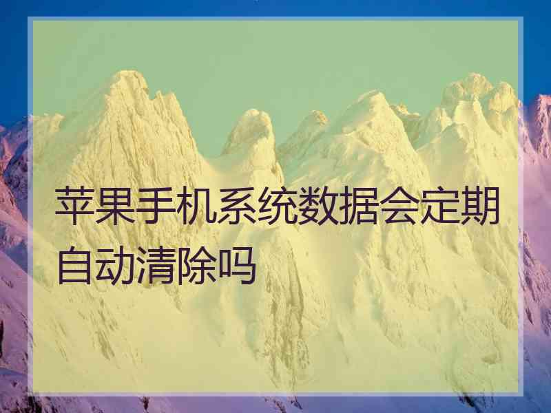 苹果手机系统数据会定期自动清除吗