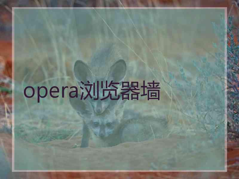 opera浏览器墙