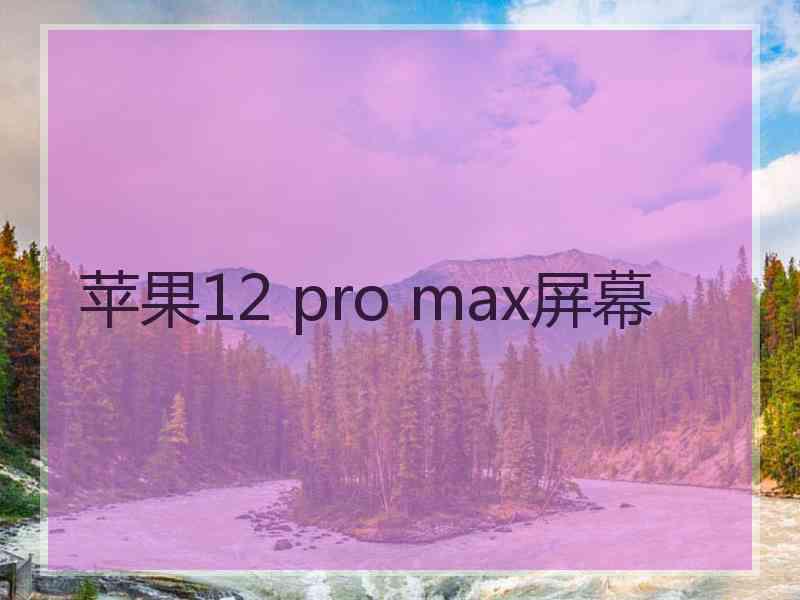 苹果12 pro max屏幕