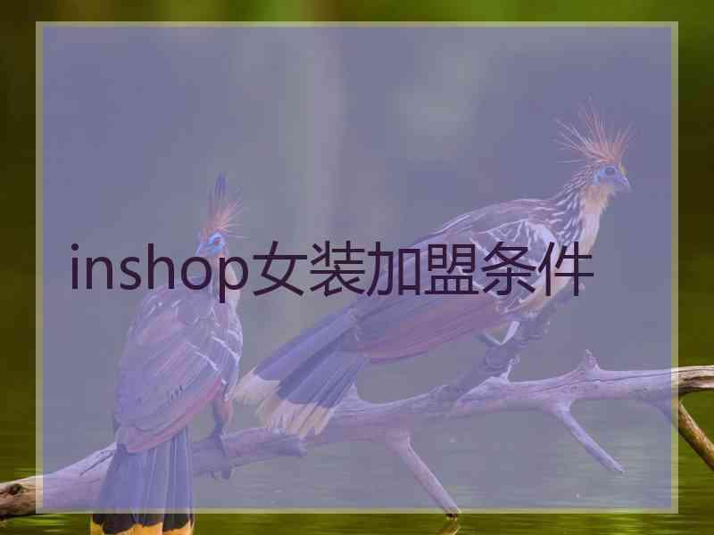 inshop女装加盟条件