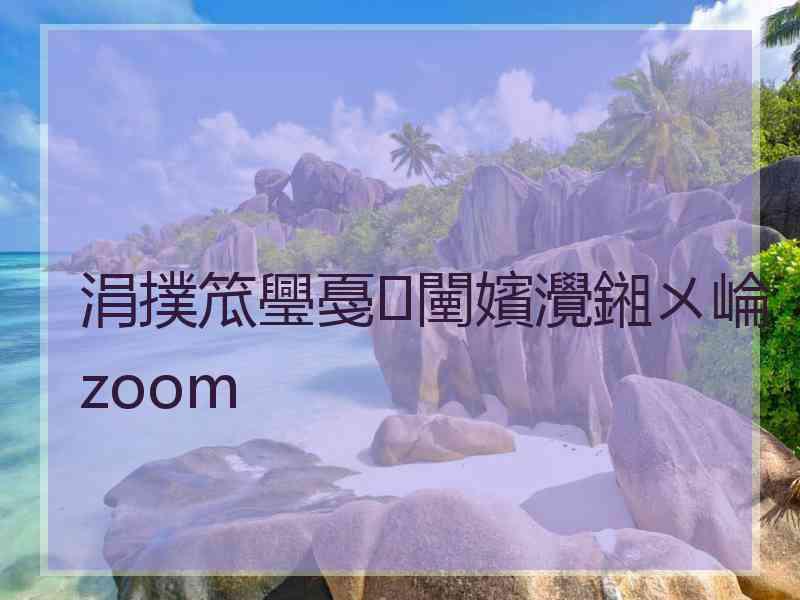 涓撲笟璺戞闉嬪灚鎺ㄨ崘zoom