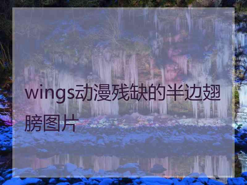 wings动漫残缺的半边翅膀图片