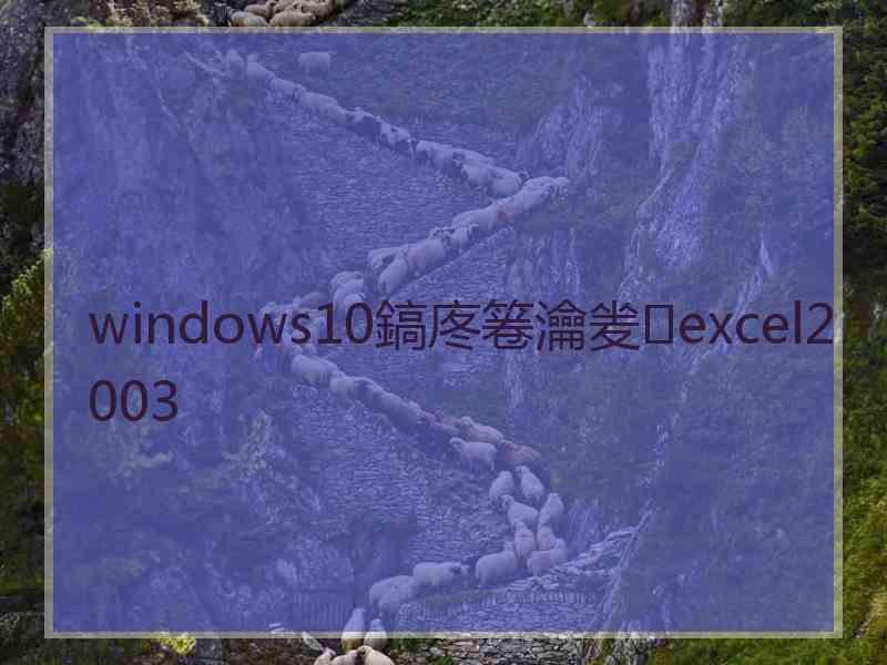 windows10鎬庝箞瀹夎excel2003